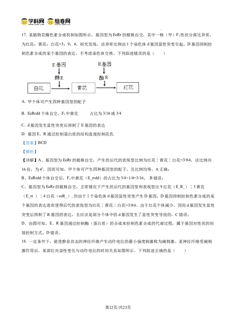 精品解析：2026届山东济宁市高三第一次模拟考试生物试题（解析版）