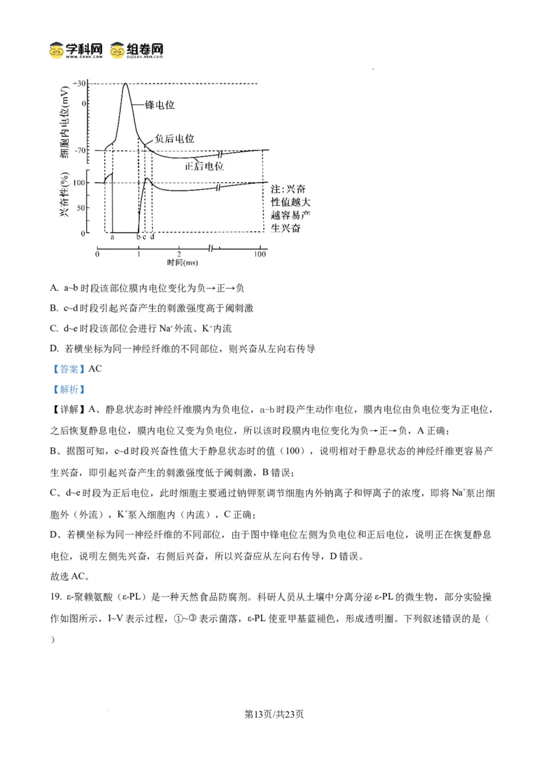 精品解析：2026届山东济宁市高三第一次模拟考试生物试题（解析版）