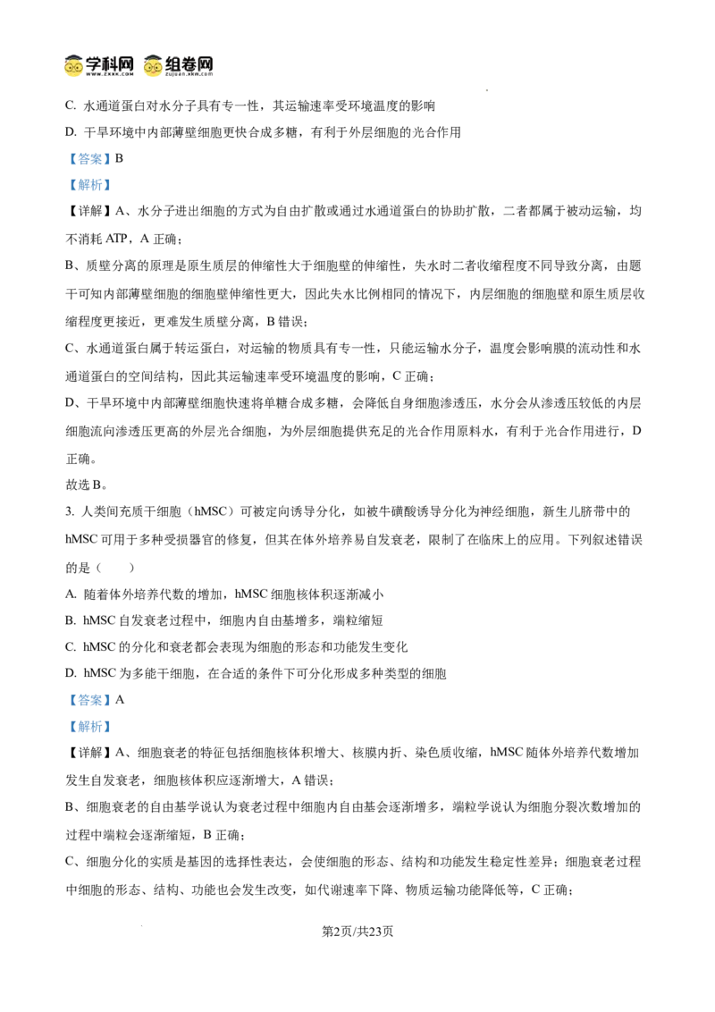 精品解析：2026届山东济宁市高三第一次模拟考试生物试题（解析版）