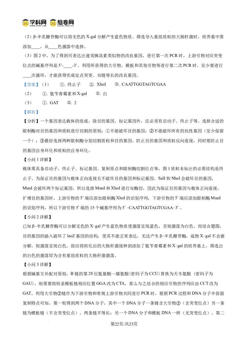 精品解析：2026届山东济宁市高三第一次模拟考试生物试题（解析版）