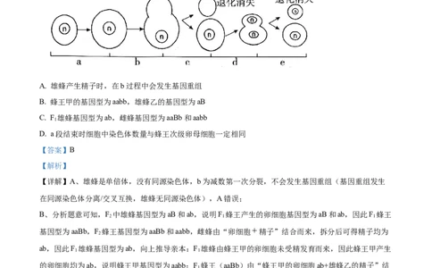 精品解析：2026届山东济宁市高三第一次模拟考试生物试题（解析版）