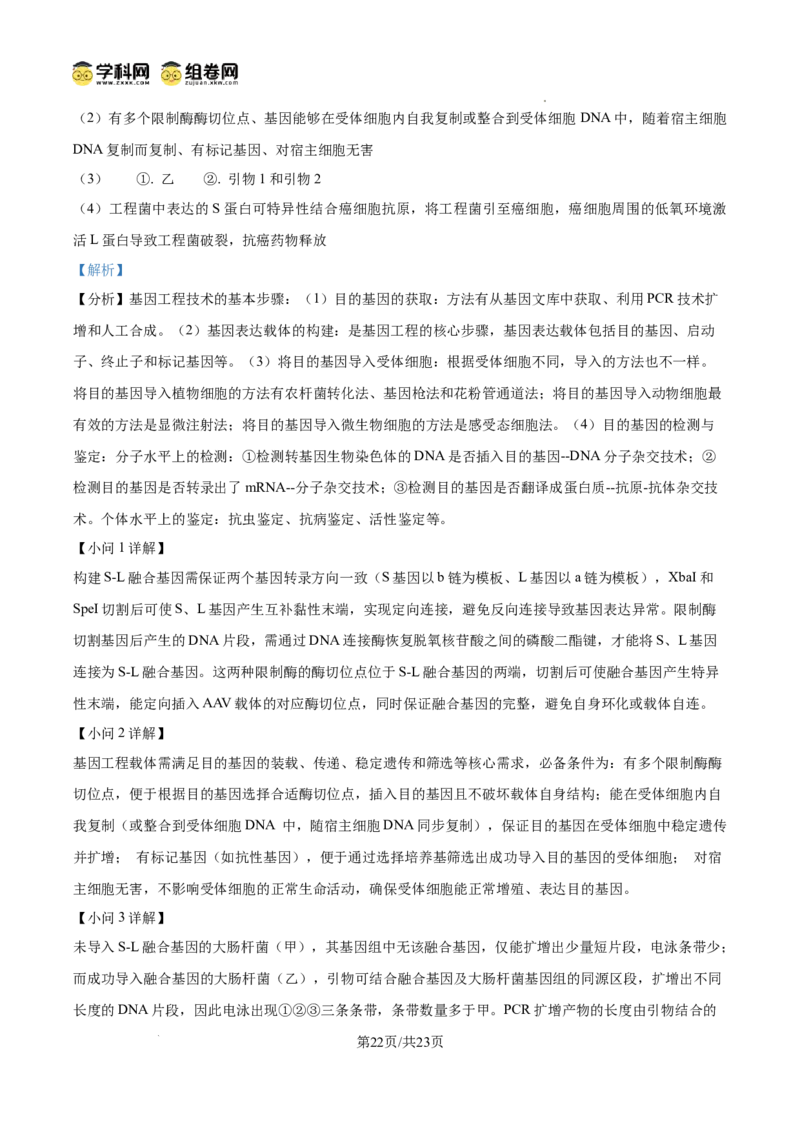 精品解析：2026届山东德州市高三下学期一模考试生物试题（解析版）