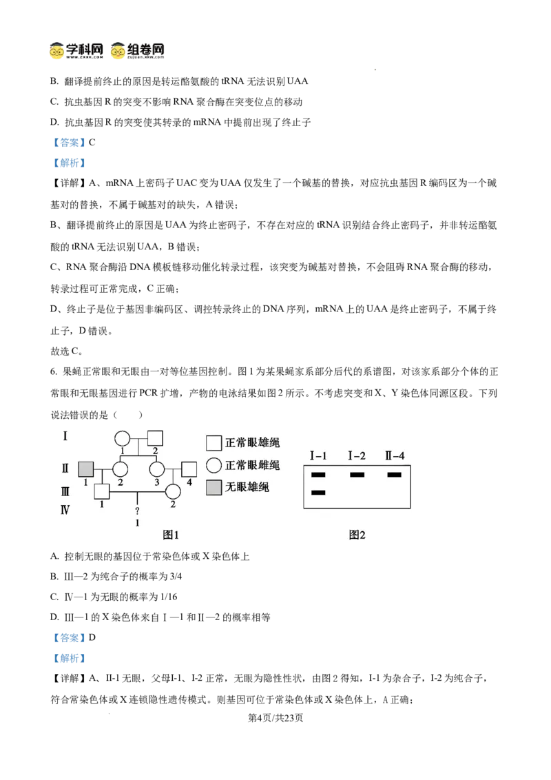 精品解析：2026届山东德州市高三下学期一模考试生物试题（解析版）