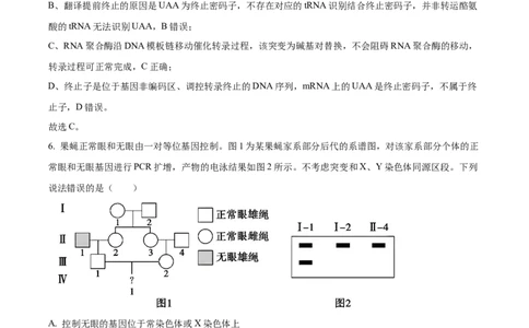 精品解析：2026届山东德州市高三下学期一模考试生物试题（解析版）