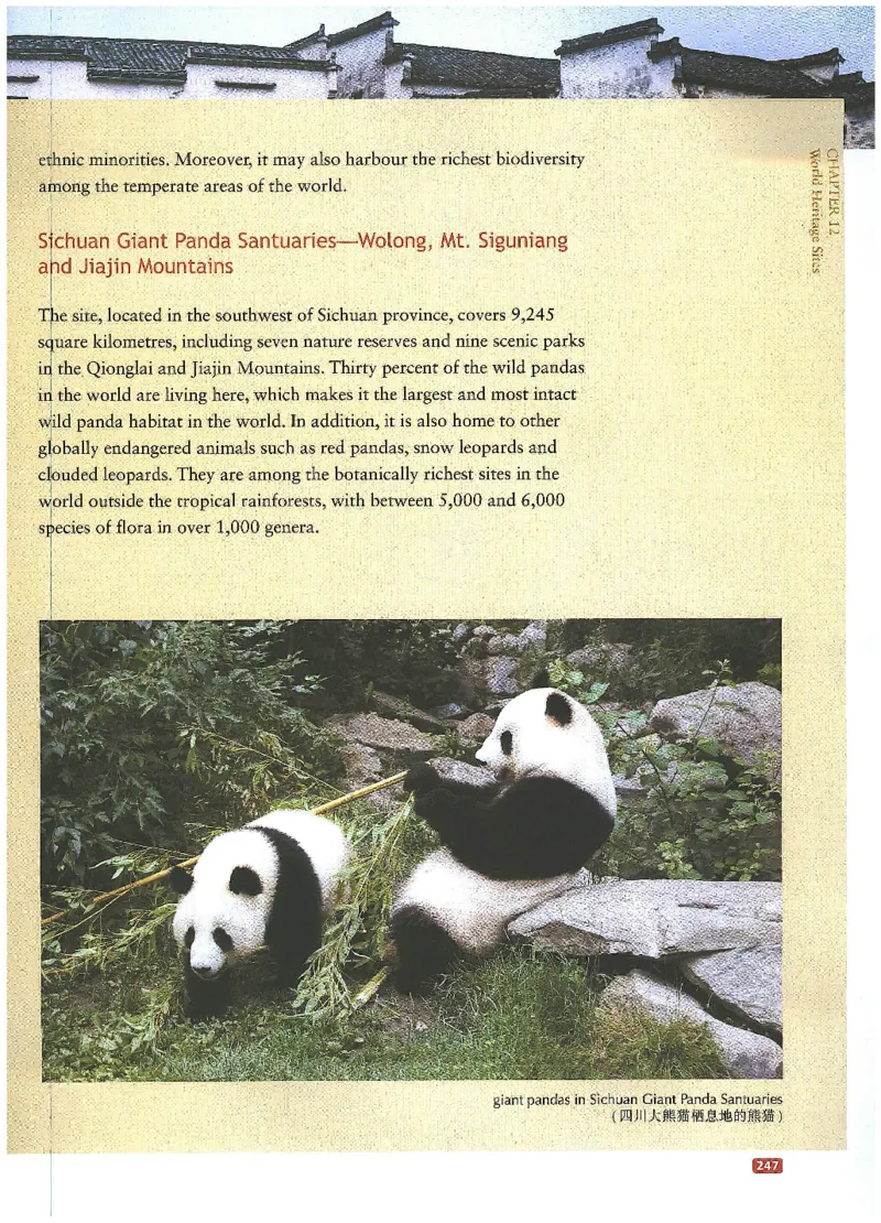 中国文化概况(修订版)_大学英语四六级_赠送_四六级作文模板+单词_中国文化概况