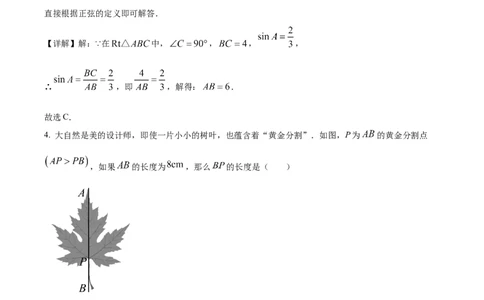 精品解析：安徽省亳州市利辛县2024一2025学年上学期义务教育数学质量监测九年级试题(中考一模数学试题)（解析版）_2025年安徽省中考模拟试卷数学_2025年安徽数学一模卷62份