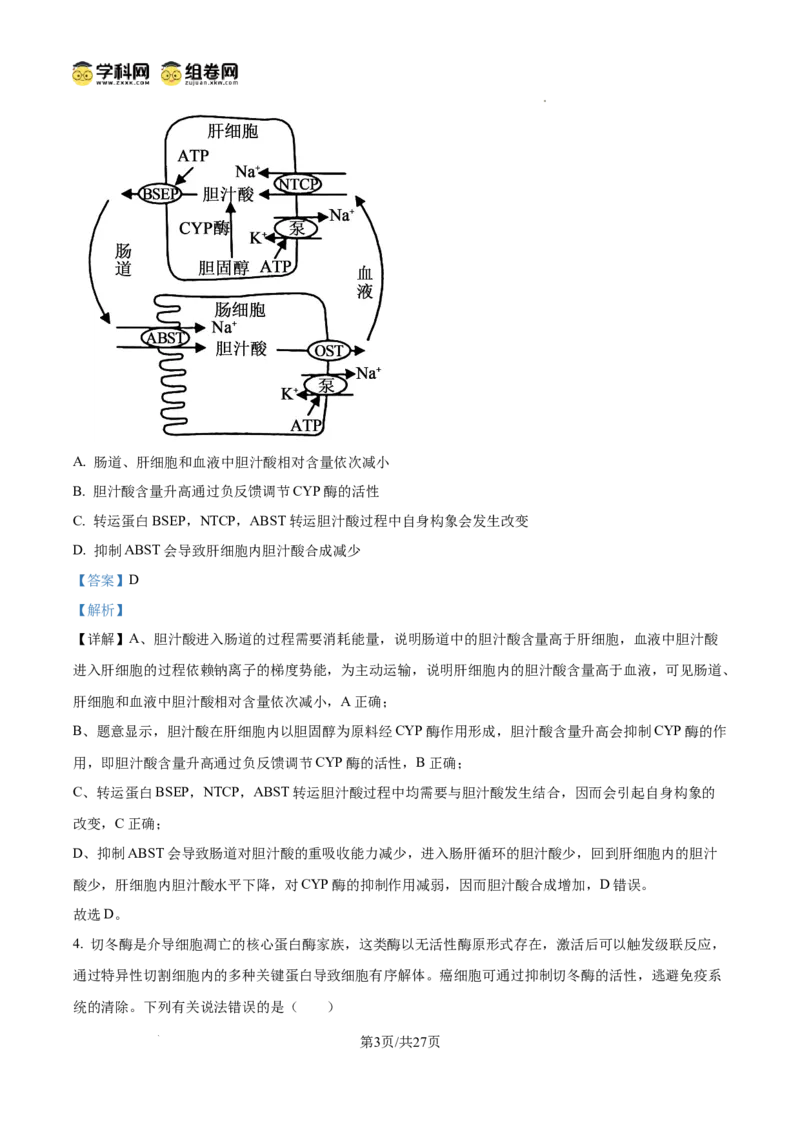 精品解析：2026届山东临沂市高三下学期普通高中学业水平等级考试模拟生物试题（解析版）