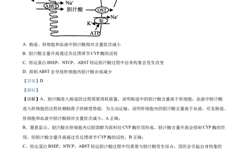 精品解析：2026届山东临沂市高三下学期普通高中学业水平等级考试模拟生物试题（解析版）