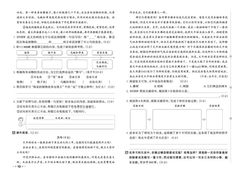 26春好卷三年级语文下（R版）_26春好卷语文_26春好卷语文三下