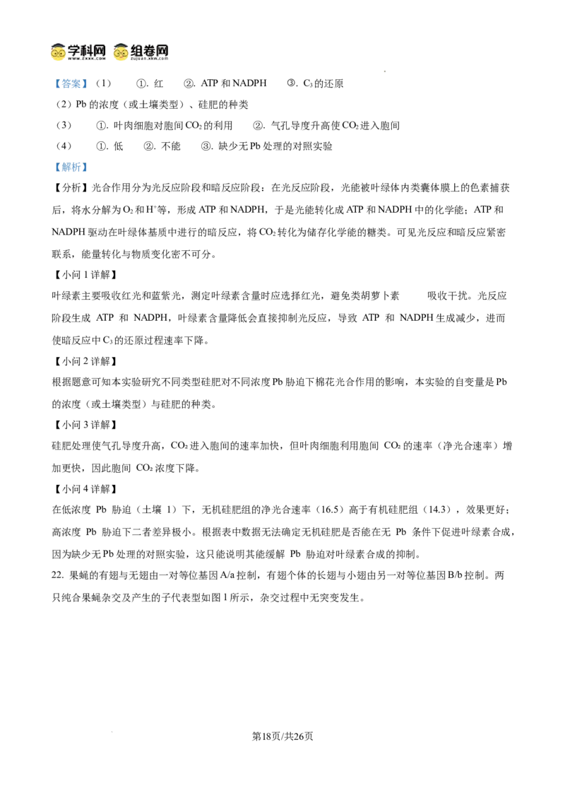 精品解析：山东省滨州市2026届高三下学期一模考试生物试题（解析版）