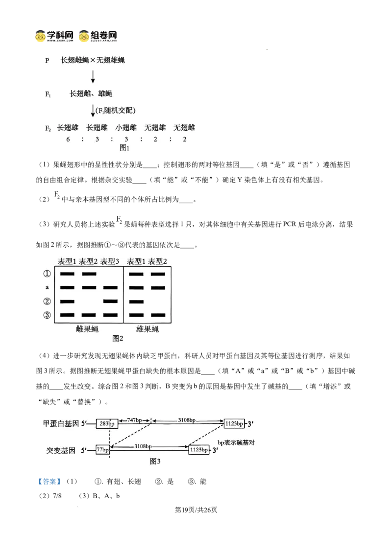 精品解析：山东省滨州市2026届高三下学期一模考试生物试题（解析版）