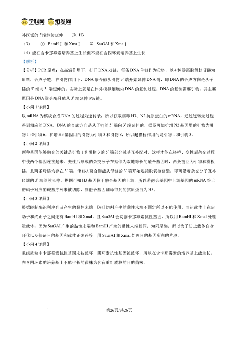 精品解析：山东省滨州市2026届高三下学期一模考试生物试题（解析版）