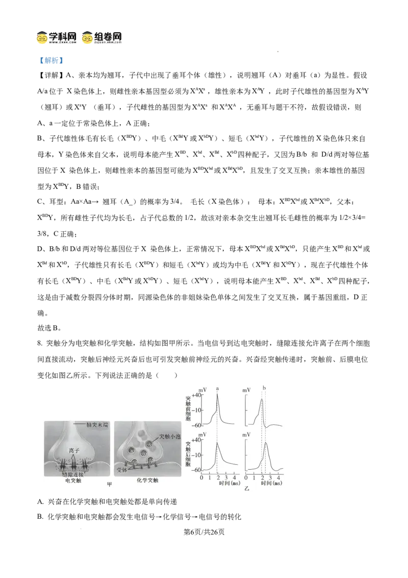 精品解析：山东省滨州市2026届高三下学期一模考试生物试题（解析版）