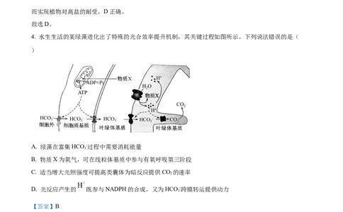 精品解析：山东省滨州市2026届高三下学期一模考试生物试题（解析版）