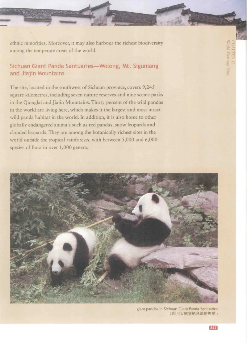 《中国文化概况》（历年翻译题来源）_大学英语四六级_赠送_四六级作文模板+单词_中国文化概况