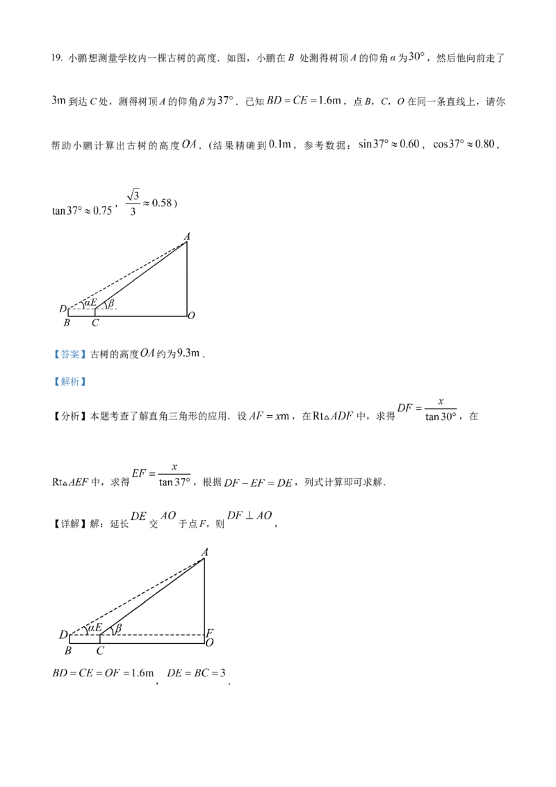 精品解析：2025年安徽省淮北五校联考九年级中考一模数学试题（解析版）_2025年安徽省中考模拟试卷数学_2025年安徽数学一模卷62份