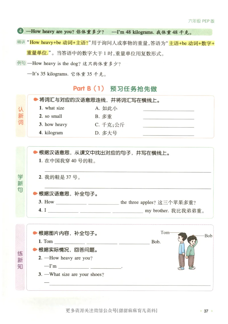 六年级英语人教PEP25版《一本寒假衔接》_26春四年级上下册人教版_四上英语合集人教版PEP英语四年级上册新教材（教学视频+课件+动画+音频+练习+教案）_17练习资料