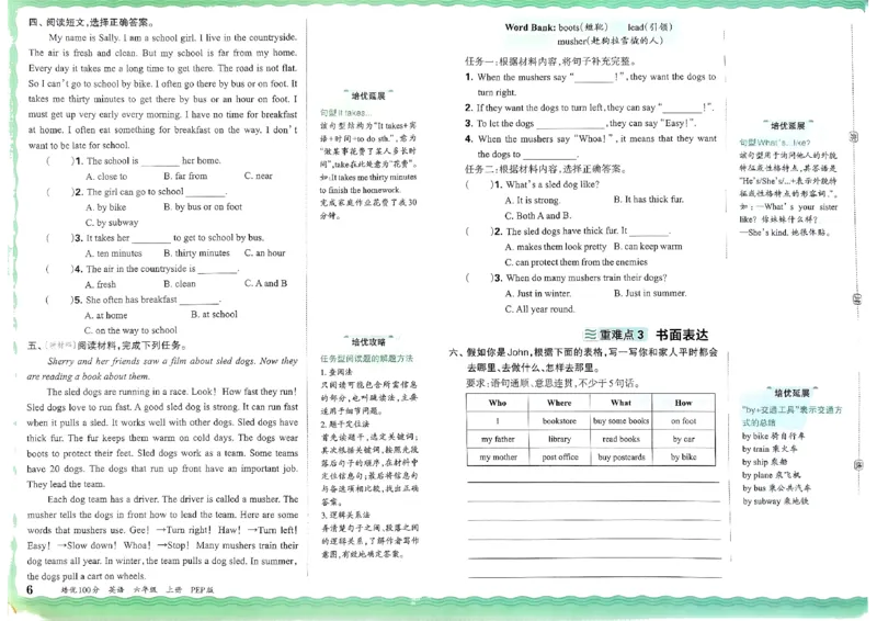六年级英语上册人教PEP版24秋《王朝霞培优100分》_26春四年级上下册人教版_四上英语合集人教版PEP英语四年级上册新教材（教学视频+课件+动画+音频+练习+教案）_17练习资料