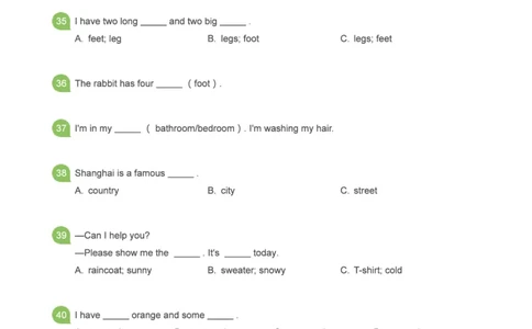 小学语法1000题_26春四年级上下册人教版_四上英语合集人教版PEP英语四年级上册新教材（教学视频+课件+动画+音频+练习+教案）_17练习资料_小学英语（预习复习资料大礼包）