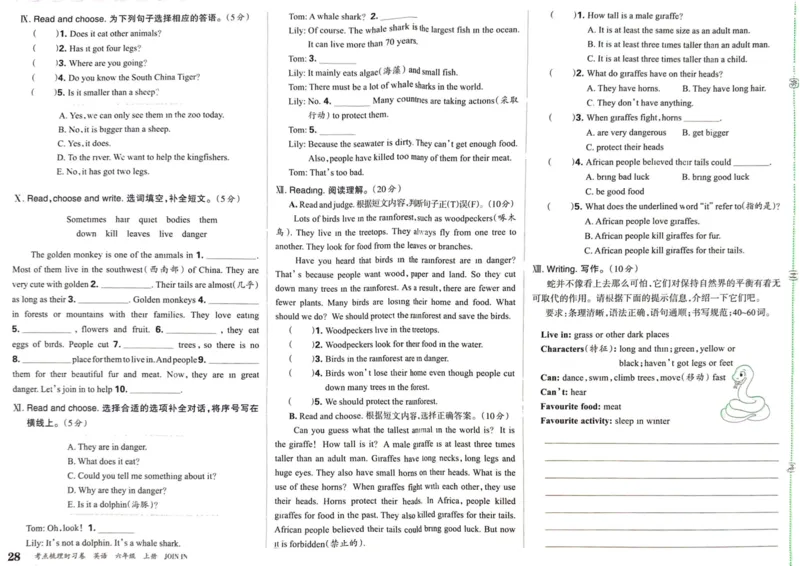 剑桥版英语六年级上册《考点梳理时习卷》（24秋）_26春四年级上下册人教版_四上英语合集人教版PEP英语四年级上册新教材（教学视频+课件+动画+音频+练习+教案）_17练习资料