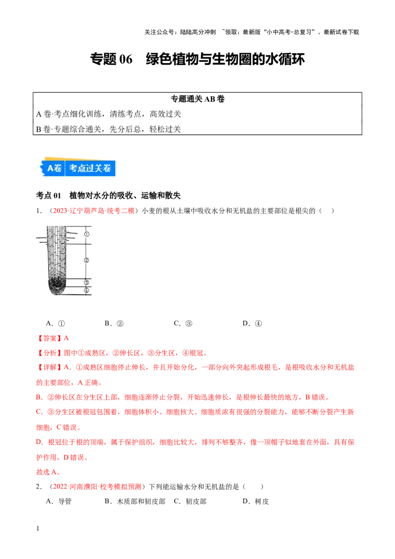 专题06绿色植物与生物圈的水循环（解析版）_02中考总复习（2026版更新中）_08-生物-中考总复习_2024年中考复习资料_一轮复习_❤备战2024年中考生物一轮复习考点帮（全国通用）_练习