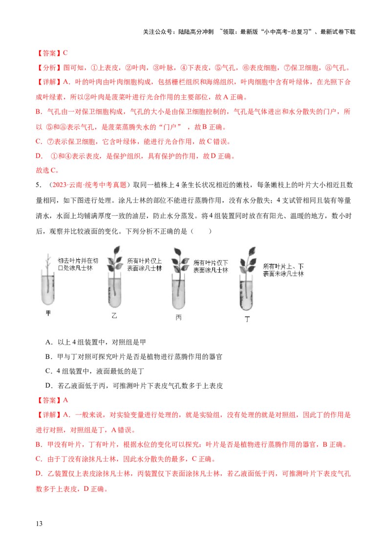 专题06绿色植物与生物圈的水循环（解析版）_02中考总复习（2026版更新中）_08-生物-中考总复习_2024年中考复习资料_一轮复习_❤备战2024年中考生物一轮复习考点帮（全国通用）_练习