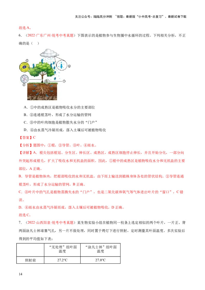 专题06绿色植物与生物圈的水循环（解析版）_02中考总复习（2026版更新中）_08-生物-中考总复习_2024年中考复习资料_一轮复习_❤备战2024年中考生物一轮复习考点帮（全国通用）_练习