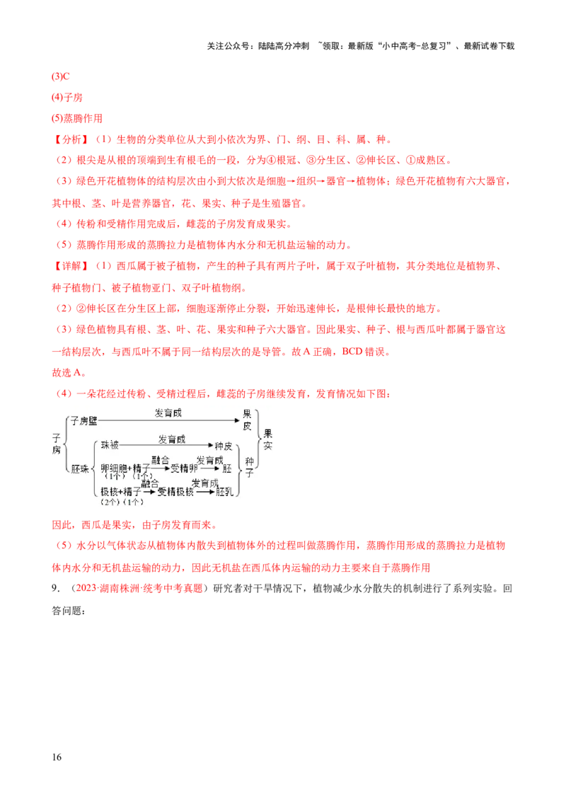 专题06绿色植物与生物圈的水循环（解析版）_02中考总复习（2026版更新中）_08-生物-中考总复习_2024年中考复习资料_一轮复习_❤备战2024年中考生物一轮复习考点帮（全国通用）_练习