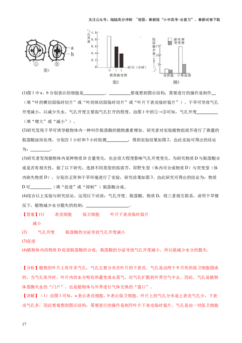 专题06绿色植物与生物圈的水循环（解析版）_02中考总复习（2026版更新中）_08-生物-中考总复习_2024年中考复习资料_一轮复习_❤备战2024年中考生物一轮复习考点帮（全国通用）_练习