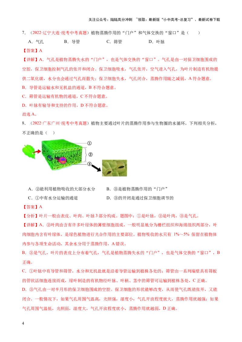 专题06绿色植物与生物圈的水循环（解析版）_02中考总复习（2026版更新中）_08-生物-中考总复习_2024年中考复习资料_一轮复习_❤备战2024年中考生物一轮复习考点帮（全国通用）_练习
