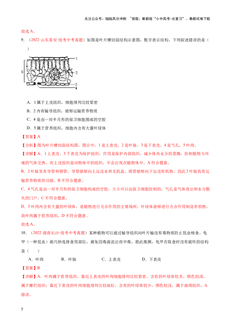 专题06绿色植物与生物圈的水循环（解析版）_02中考总复习（2026版更新中）_08-生物-中考总复习_2024年中考复习资料_一轮复习_❤备战2024年中考生物一轮复习考点帮（全国通用）_练习