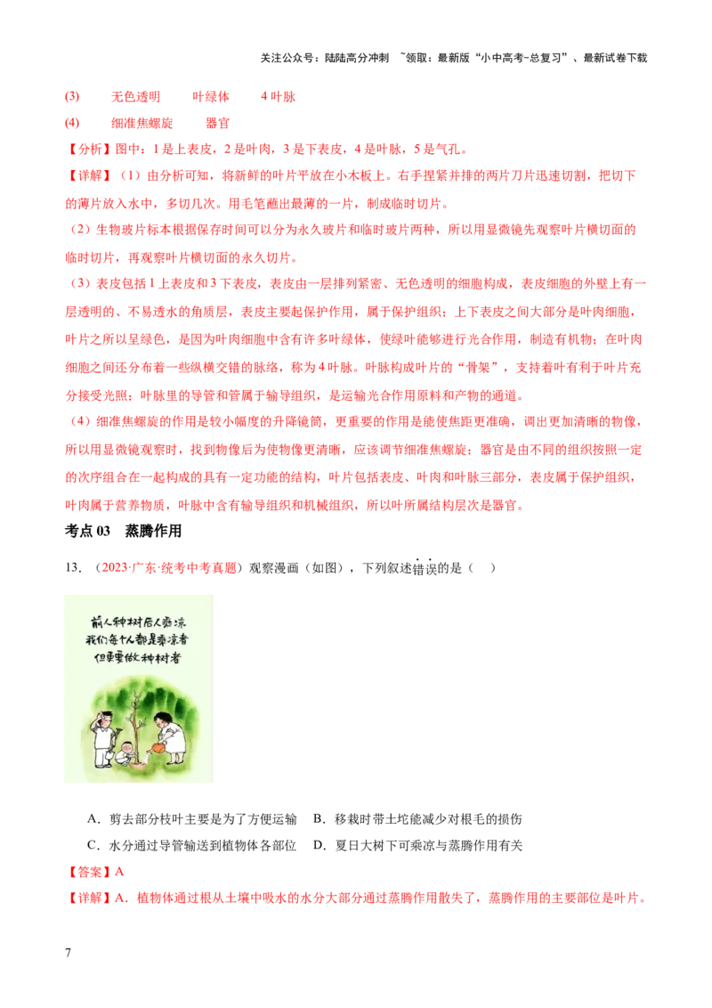 专题06绿色植物与生物圈的水循环（解析版）_02中考总复习（2026版更新中）_08-生物-中考总复习_2024年中考复习资料_一轮复习_❤备战2024年中考生物一轮复习考点帮（全国通用）_练习