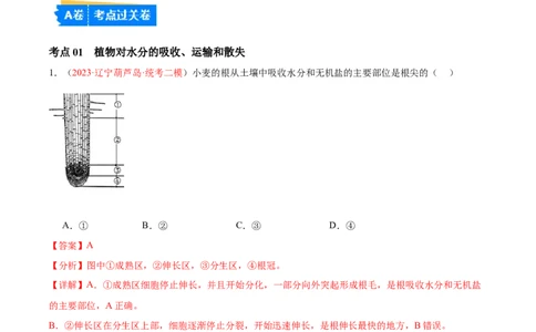 专题06绿色植物与生物圈的水循环（解析版）_02中考总复习（2026版更新中）_08-生物-中考总复习_2024年中考复习资料_一轮复习_❤备战2024年中考生物一轮复习考点帮（全国通用）_练习