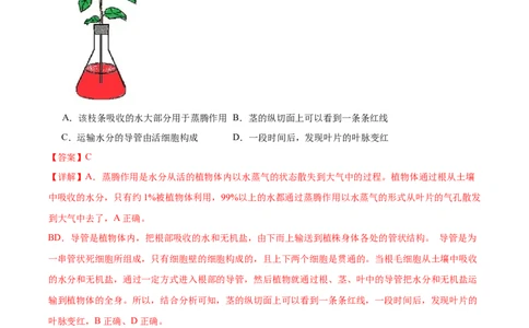 专题06绿色植物与生物圈的水循环（解析版）_02中考总复习（2026版更新中）_08-生物-中考总复习_2024年中考复习资料_一轮复习_❤备战2024年中考生物一轮复习考点帮（全国通用）_练习