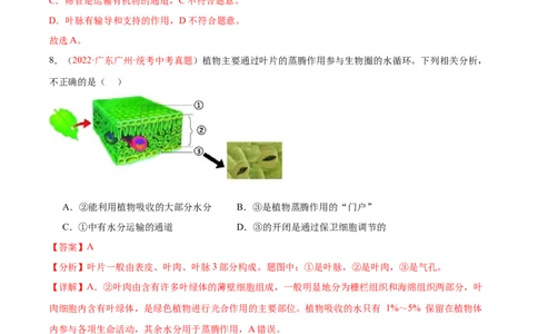专题06绿色植物与生物圈的水循环（解析版）_02中考总复习（2026版更新中）_08-生物-中考总复习_2024年中考复习资料_一轮复习_❤备战2024年中考生物一轮复习考点帮（全国通用）_练习