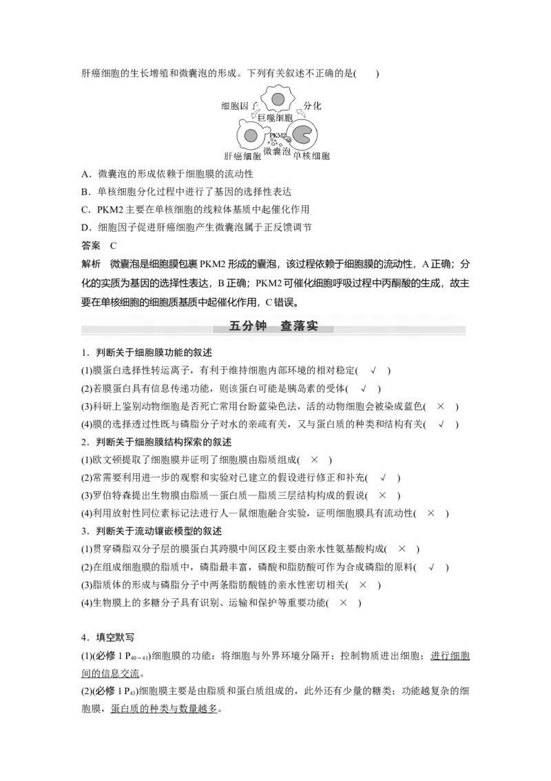 2024年高考生物一轮复习（新人教版）第2单元　第1课时　细胞膜的结构和功能_09高考生物_2024年新高考资料_1.2024一轮复习_2024年高考生物一轮复习讲义（新人教版）