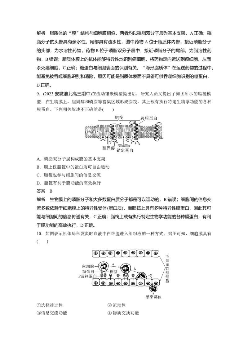 2024年高考生物一轮复习（新人教版）第2单元　第1课时　细胞膜的结构和功能_09高考生物_2024年新高考资料_1.2024一轮复习_2024年高考生物一轮复习讲义（新人教版）
