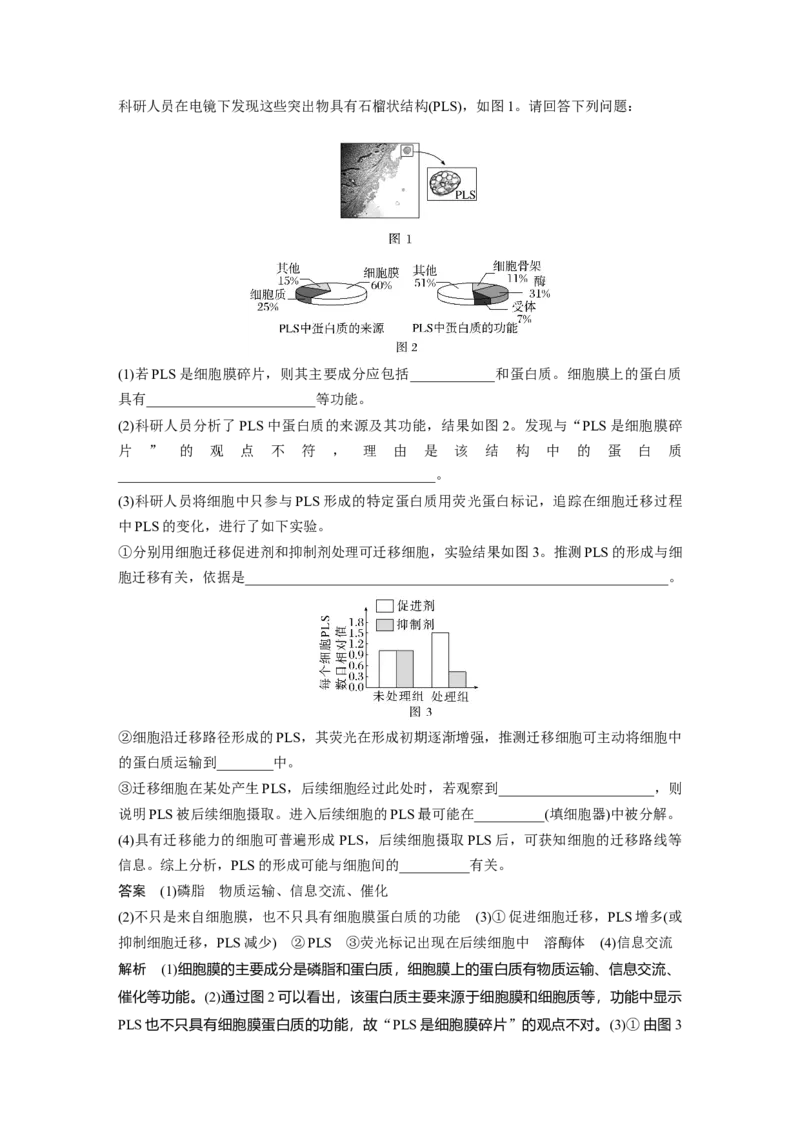 2024年高考生物一轮复习（新人教版）第2单元　第1课时　细胞膜的结构和功能_09高考生物_2024年新高考资料_1.2024一轮复习_2024年高考生物一轮复习讲义（新人教版）