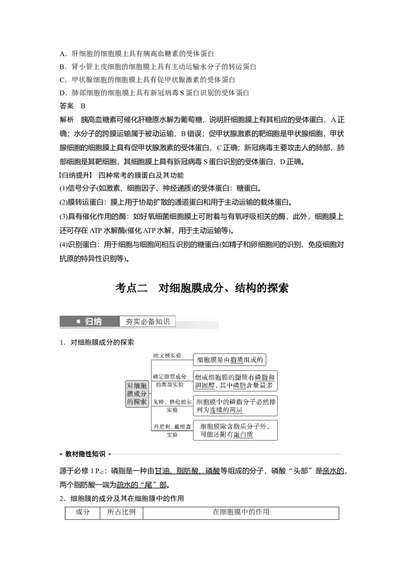 2024年高考生物一轮复习（新人教版）第2单元　第1课时　细胞膜的结构和功能_09高考生物_2024年新高考资料_1.2024一轮复习_2024年高考生物一轮复习讲义（新人教版）
