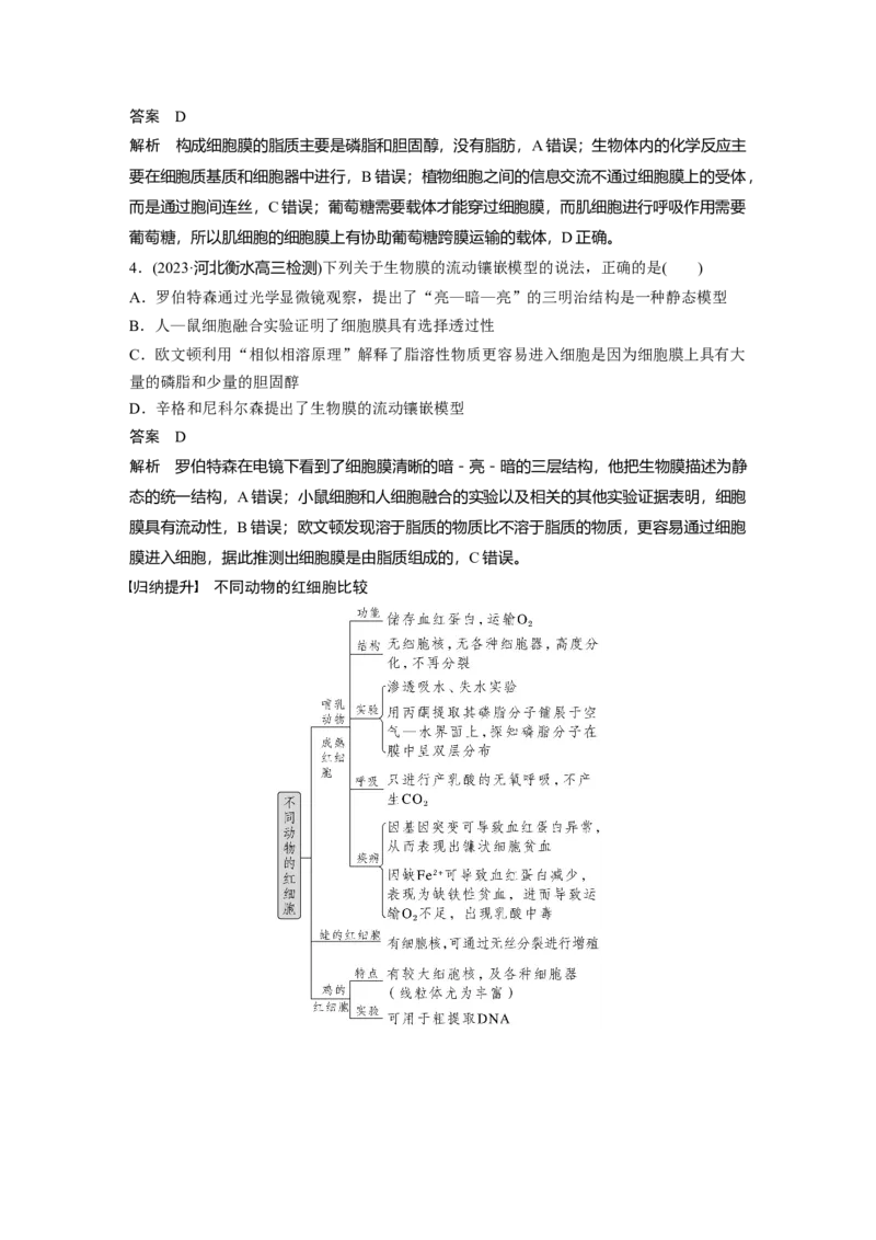 2024年高考生物一轮复习（新人教版）第2单元　第1课时　细胞膜的结构和功能_09高考生物_2024年新高考资料_1.2024一轮复习_2024年高考生物一轮复习讲义（新人教版）