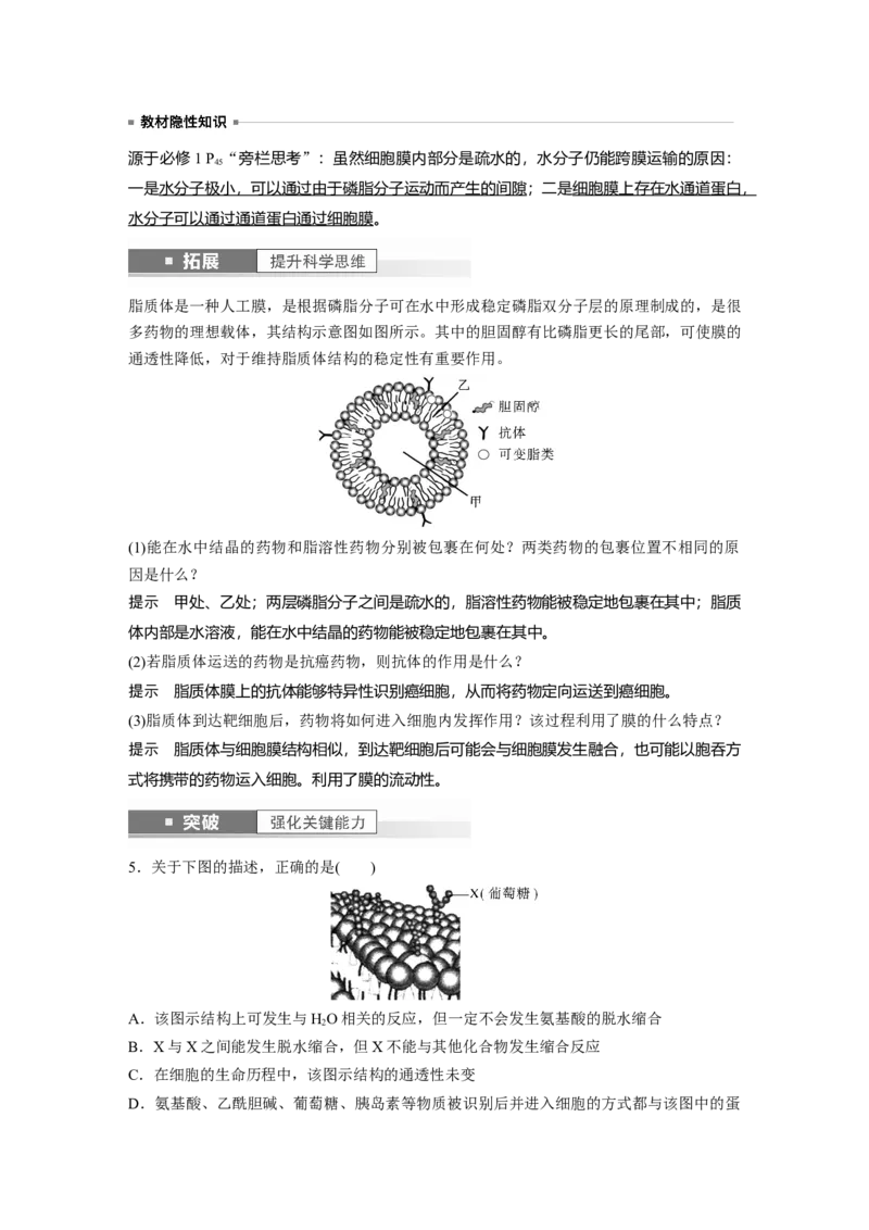 2024年高考生物一轮复习（新人教版）第2单元　第1课时　细胞膜的结构和功能_09高考生物_2024年新高考资料_1.2024一轮复习_2024年高考生物一轮复习讲义（新人教版）