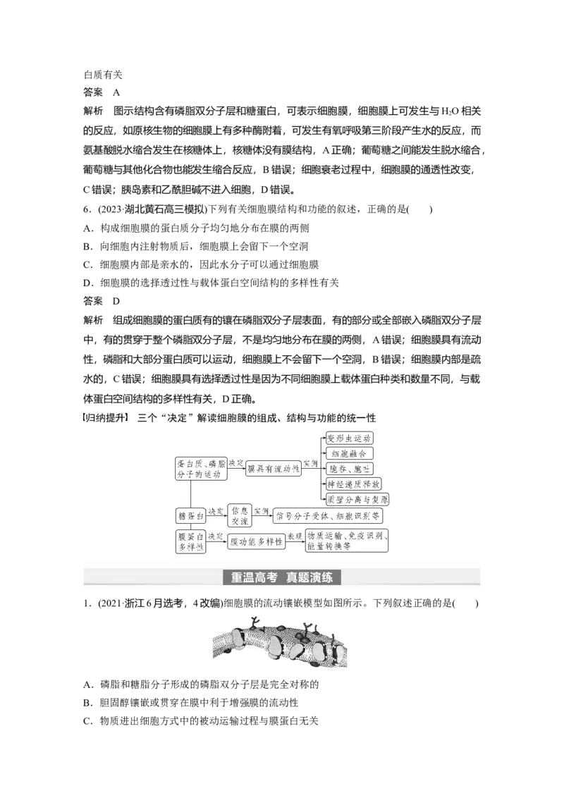 2024年高考生物一轮复习（新人教版）第2单元　第1课时　细胞膜的结构和功能_09高考生物_2024年新高考资料_1.2024一轮复习_2024年高考生物一轮复习讲义（新人教版）