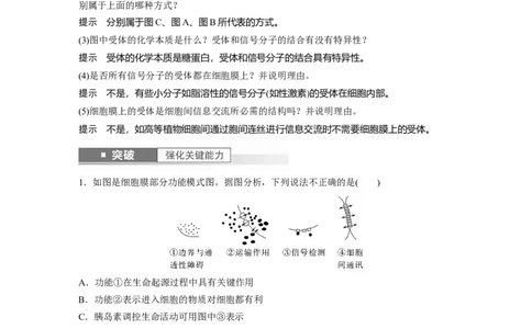 2024年高考生物一轮复习（新人教版）第2单元　第1课时　细胞膜的结构和功能_09高考生物_2024年新高考资料_1.2024一轮复习_2024年高考生物一轮复习讲义（新人教版）