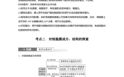 2024年高考生物一轮复习（新人教版）第2单元　第1课时　细胞膜的结构和功能_09高考生物_2024年新高考资料_1.2024一轮复习_2024年高考生物一轮复习讲义（新人教版）