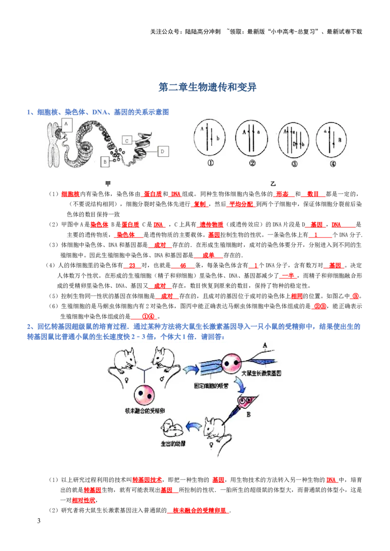 专题07生物圈中生命的延续和发展（背诵版）_02中考总复习（2026版更新中）_08-生物-中考总复习_2025中考复习资料_2025年中考生物知识梳理_专题07生物圈中生命的延续和发展