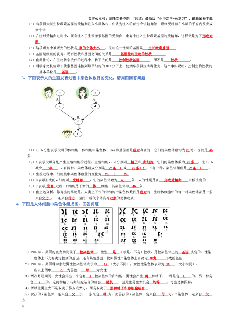 专题07生物圈中生命的延续和发展（背诵版）_02中考总复习（2026版更新中）_08-生物-中考总复习_2025中考复习资料_2025年中考生物知识梳理_专题07生物圈中生命的延续和发展
