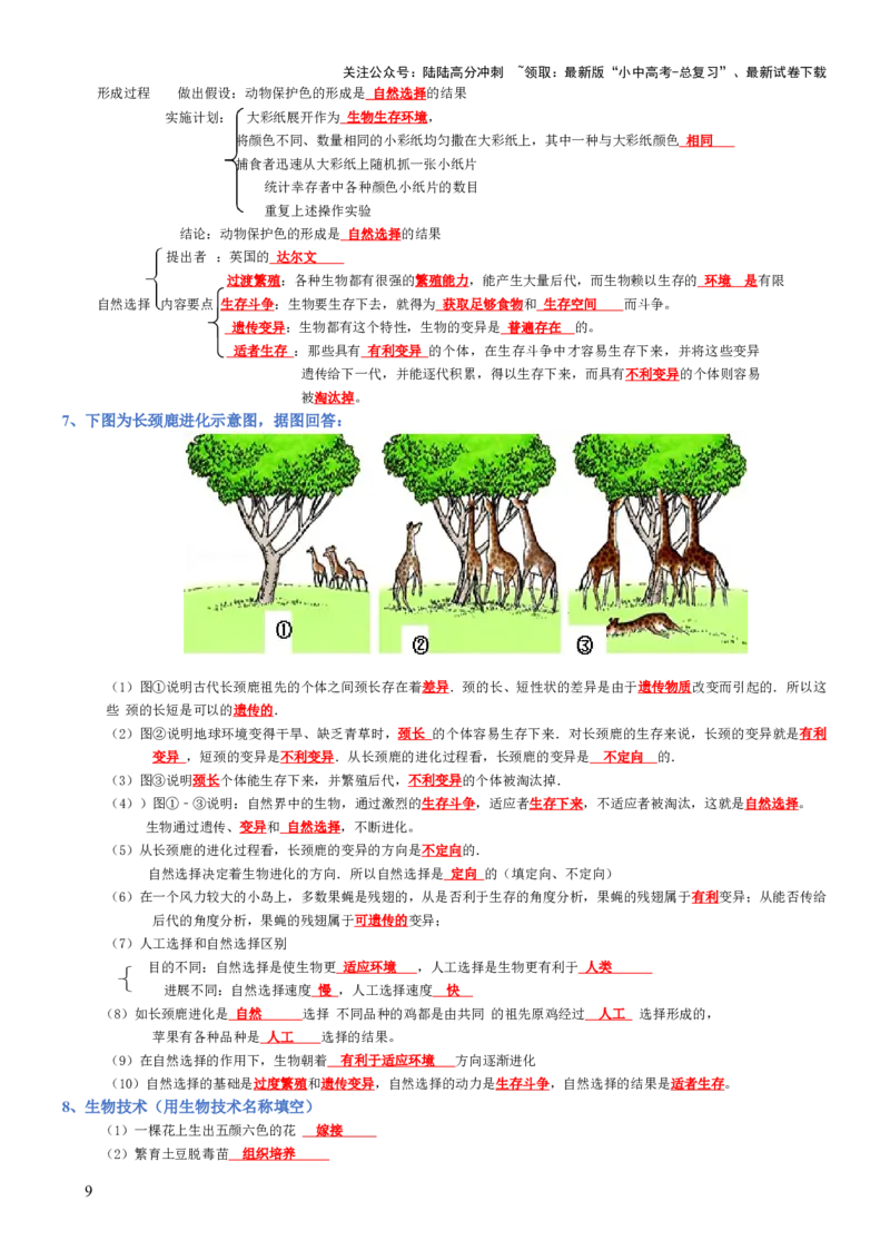 专题07生物圈中生命的延续和发展（背诵版）_02中考总复习（2026版更新中）_08-生物-中考总复习_2025中考复习资料_2025年中考生物知识梳理_专题07生物圈中生命的延续和发展