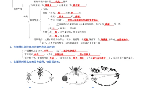 专题07生物圈中生命的延续和发展（背诵版）_02中考总复习（2026版更新中）_08-生物-中考总复习_2025中考复习资料_2025年中考生物知识梳理_专题07生物圈中生命的延续和发展