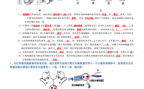 专题07生物圈中生命的延续和发展（背诵版）_02中考总复习（2026版更新中）_08-生物-中考总复习_2025中考复习资料_2025年中考生物知识梳理_专题07生物圈中生命的延续和发展