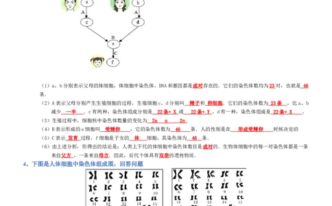 专题07生物圈中生命的延续和发展（背诵版）_02中考总复习（2026版更新中）_08-生物-中考总复习_2025中考复习资料_2025年中考生物知识梳理_专题07生物圈中生命的延续和发展